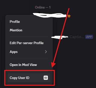 Discord Bot Installation Copy User ID